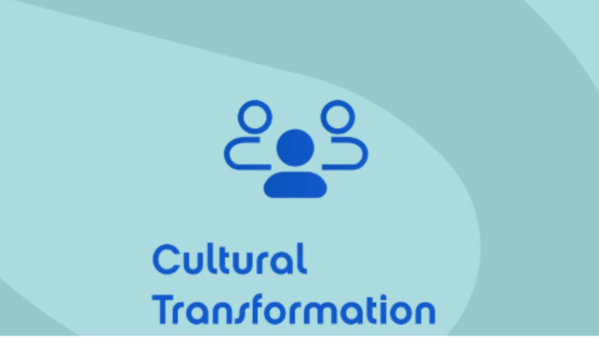 Pic 13 (Cultural Transformation Visual)