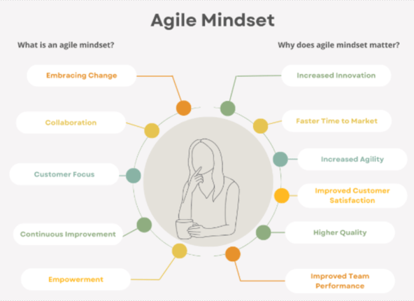 Pic 9 (Agile Mindset Visual)